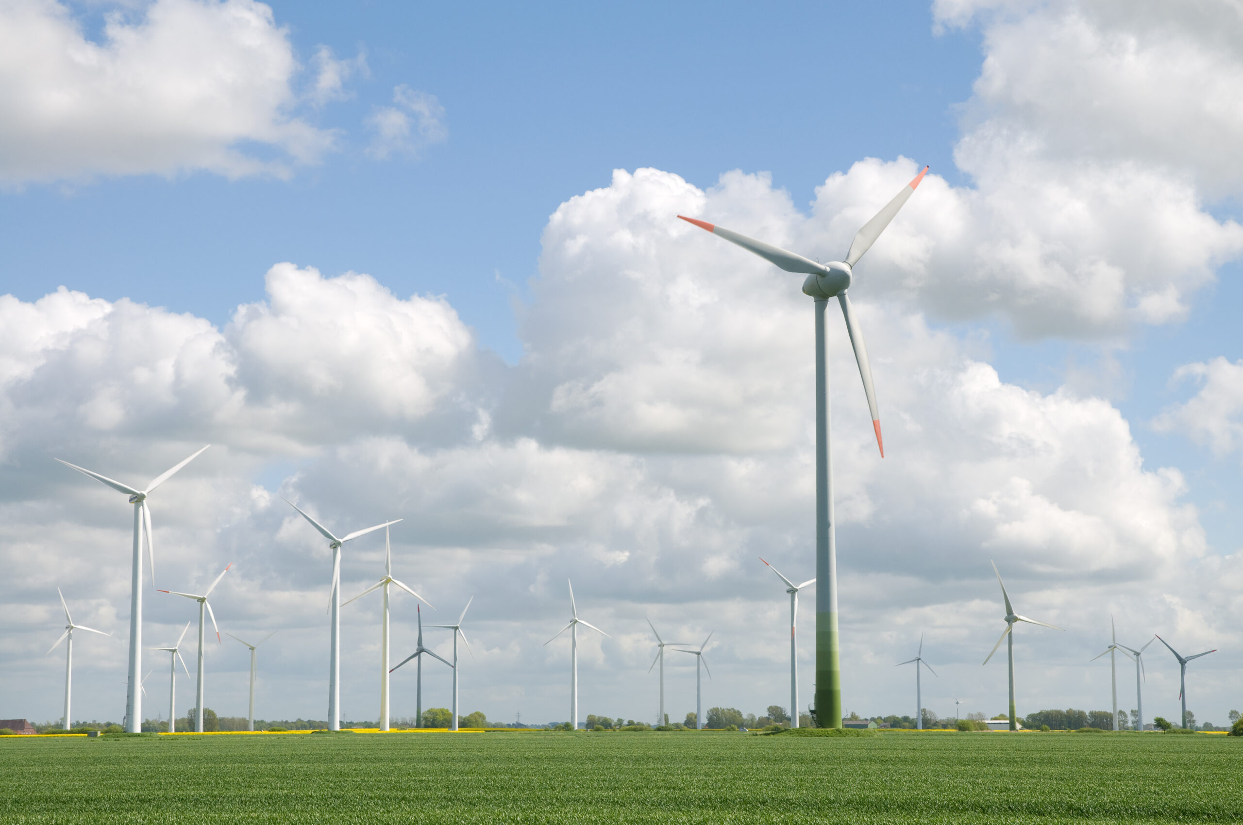 Wind,Farm,,German,Coast